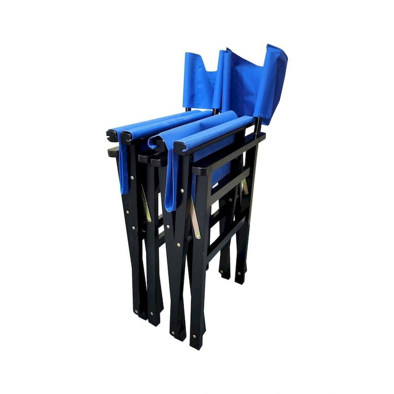 Black Canvas Director's Chair with Foldable Design